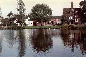 The Offley Arms Viewed from Grayling Willows