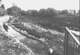 Madeley Pool Clean Out - Looking South